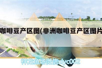 非洲咖啡豆產區圖(非洲咖啡豆產區圖片大全) 非洲咖啡豆產區圖(非洲咖啡豆產區圖片大全) 馬來西亞咖啡