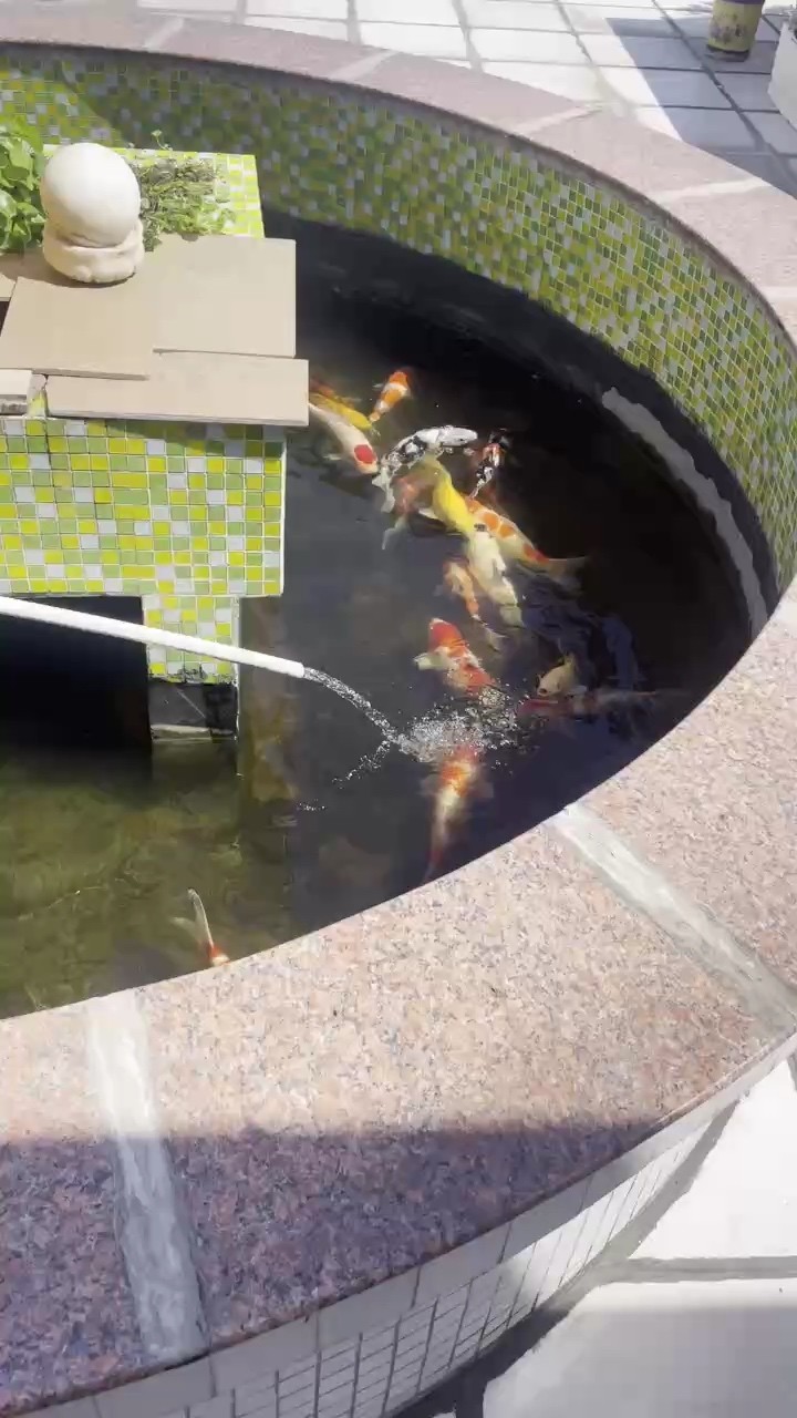 停食的季節又來了