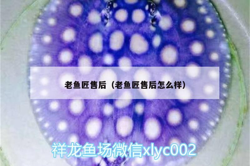 老魚(yú)匠售后（老魚(yú)匠售后怎么樣）