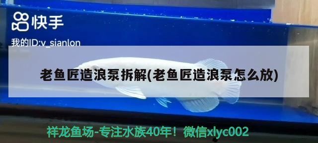 老魚匠造浪泵拆解(老魚匠造浪泵怎么放)