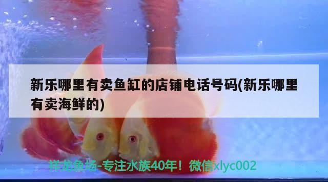 虎魚天天黑來點赤瞳黃金 新樂哪里有賣魚缸的店鋪電話號碼(新樂哪里有賣海鮮的) iwish愛唯希品牌魚缸 新樂哪里有賣魚缸的店鋪電話號碼(新樂哪里有賣海鮮的) 新樂哪里有賣魚缸的店鋪電話號碼(新樂哪里有賣海鮮的) iwish愛唯希品牌魚缸