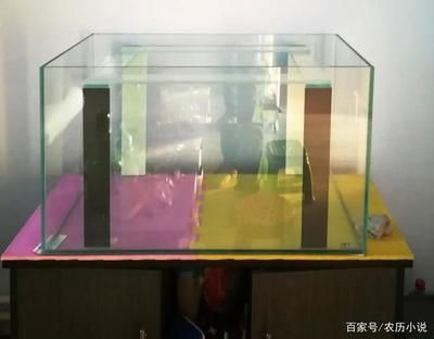 8080魚缸中間拉筋：80 8080魚缸中間拉筋：80 魚缸百科 第3張