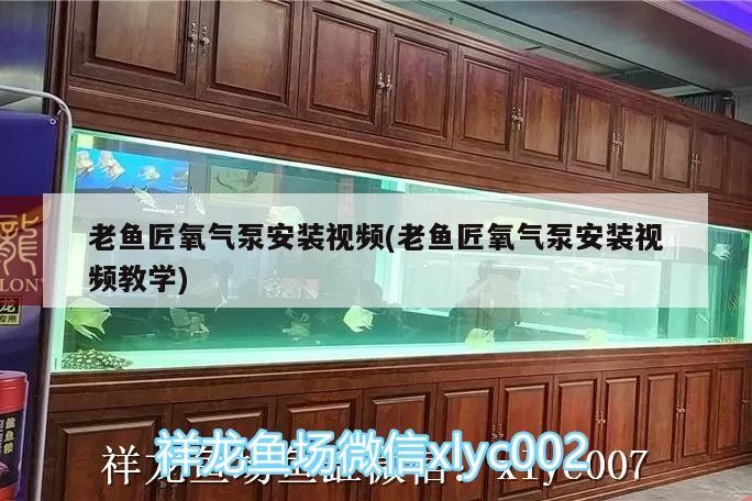 老魚匠氧氣泵安裝視頻(老魚匠氧氣泵安裝視頻教學)