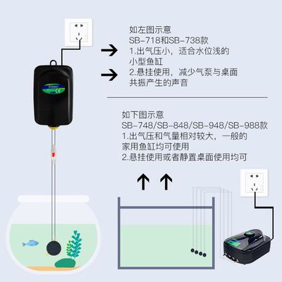 龍魚適合用什么燈vs祥龍魚場：祥龍魚場龍魚照明對色彩的影響 龍魚適合用什么燈vs祥龍魚場：祥龍魚場龍魚照明對色彩的影響 vs祥龍魚場 第5張