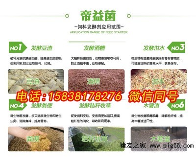 龍對著大門最忌諱什么？風水禁忌與化解之道
