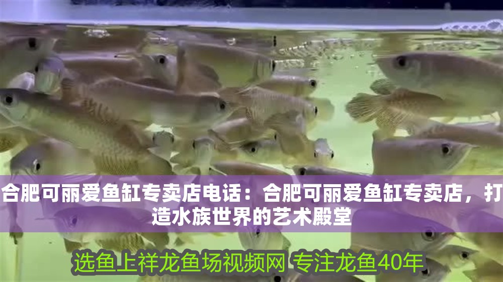 合肥可麗愛魚缸專賣店電話：合肥可麗愛魚缸專賣店，打造水族世界的藝術殿堂 合肥可麗愛魚缸專賣店電話：合肥可麗愛魚缸專賣店，打造水族世界的藝術殿堂 iwish愛唯希品牌魚缸 第1張