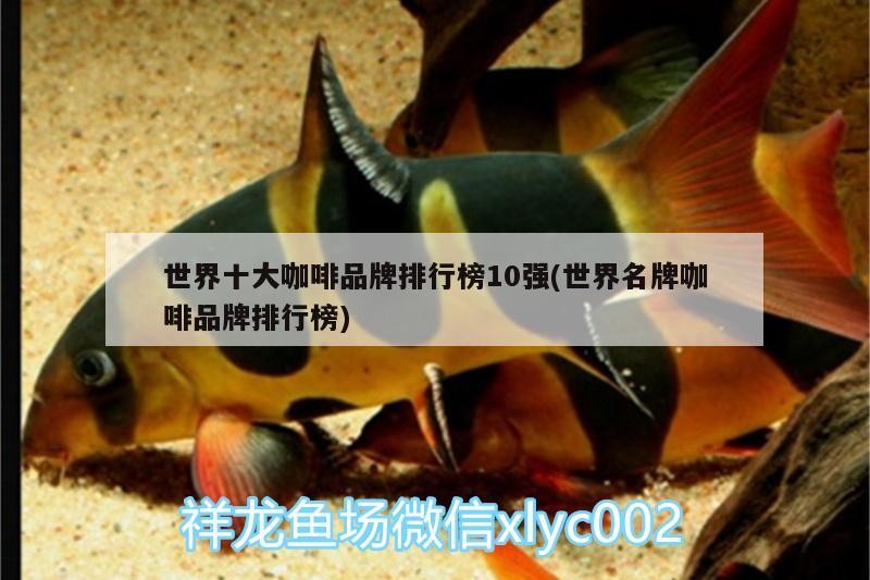 世界十大咖啡品牌排行榜10強(世界名牌咖啡品牌排行榜)