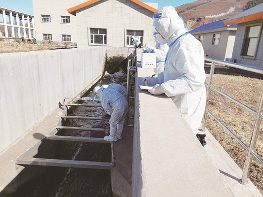 龍擺件一般人壓不住嗎？解析龍擺件的風水講究與擺放禁忌