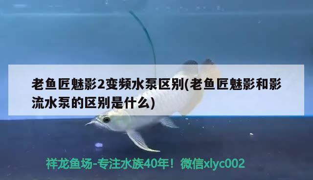 老魚匠魅影2變頻水泵區(qū)別(老魚匠魅影和影流水泵的區(qū)別是什么)