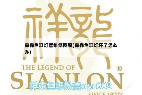 森森魚缸燈是一體的怎么換，如何選擇適合的魚缸燈 森森魚缸燈是一體的怎么換，如何選擇適合的魚缸燈 魚缸百科 第6張