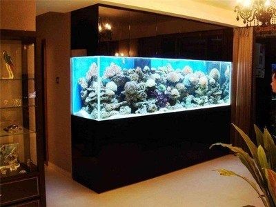 604040魚缸多重：604040魚缸的重量取決于魚缸的材質和是否裝滿了水