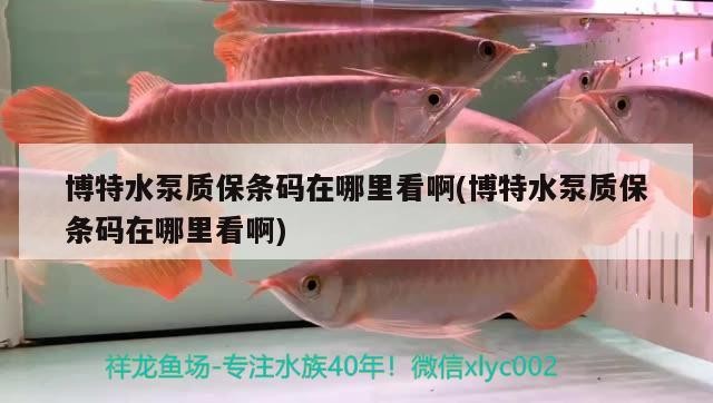 博特水泵質(zhì)保條碼在哪里看啊(博特水泵質(zhì)保條碼在哪里看啊)