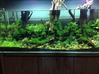 長春市二手魚缸轉讓信息網（長春市二手魚缸轉讓信息網最新）