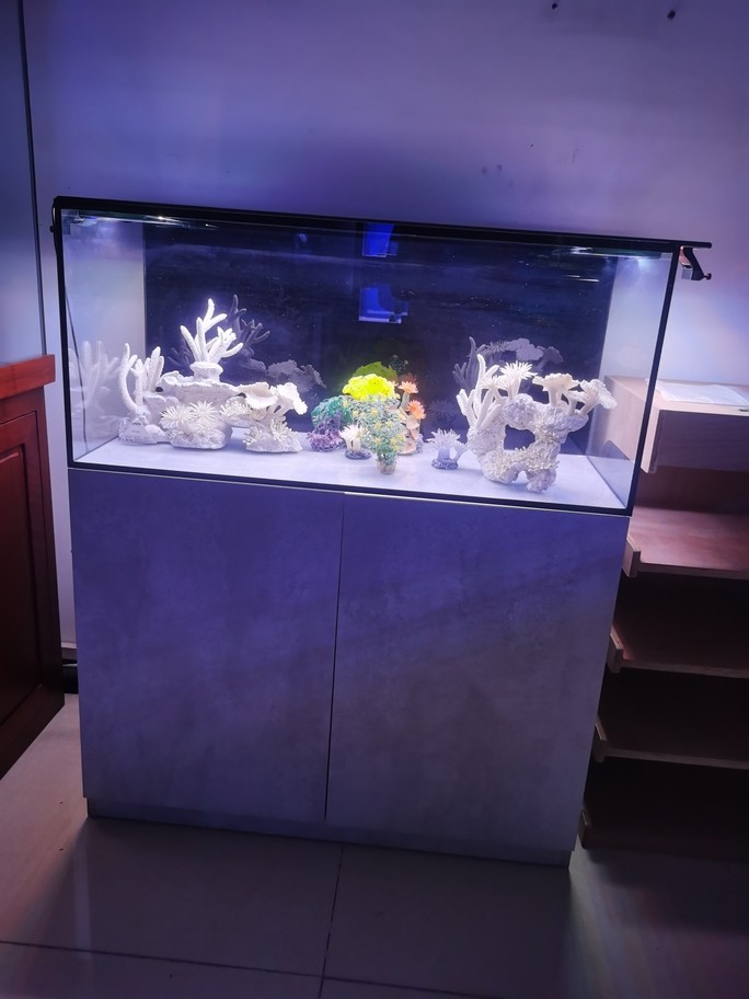 魚缸水族箱溪流缸