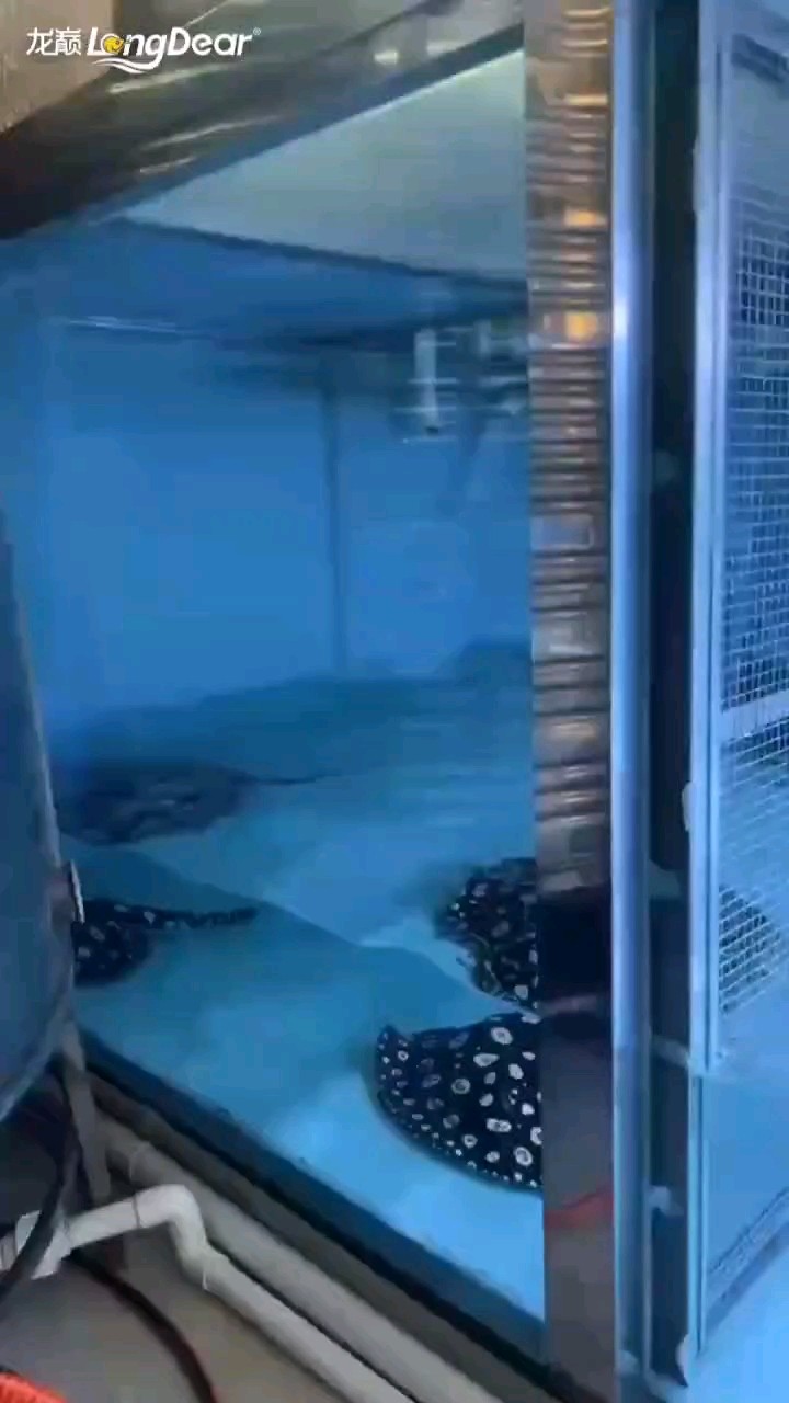 轉發575 轉發575 龍魚論壇