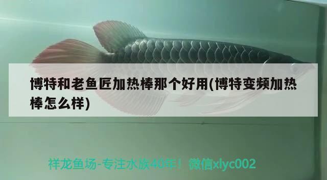 博特和老魚匠加熱棒那個好用(博特變頻加熱棒怎么樣)