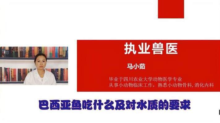 雙龍共舞，當兩個屬龍的人相愛，是相克還是相生？