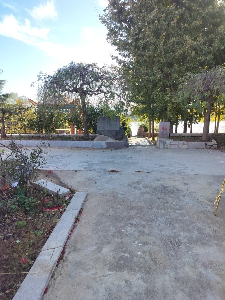 這里魚不少