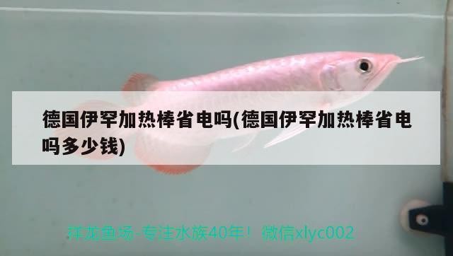 德國伊罕加熱棒省電嗎(德國伊罕加熱棒省電嗎多少錢) 德國伊罕加熱棒省電嗎(德國伊罕加熱棒省電嗎多少錢) 伊罕水族