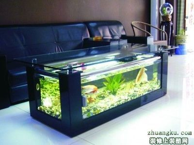 8厘米魚用多大魚缸好呢:養魚的魚缸尺寸與養魚數量的關系 魚缸百科 第1張 8厘米魚用多大魚缸好呢:養魚的魚缸尺寸與養魚數量的關系 8厘米魚用多大魚缸好呢:養魚的魚缸尺寸與養魚數量的關系 魚缸百科 第1張