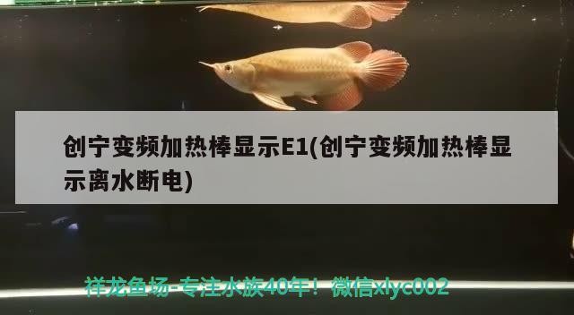 創寧變頻加熱棒顯示E1(創寧變頻加熱棒顯示離水斷電)