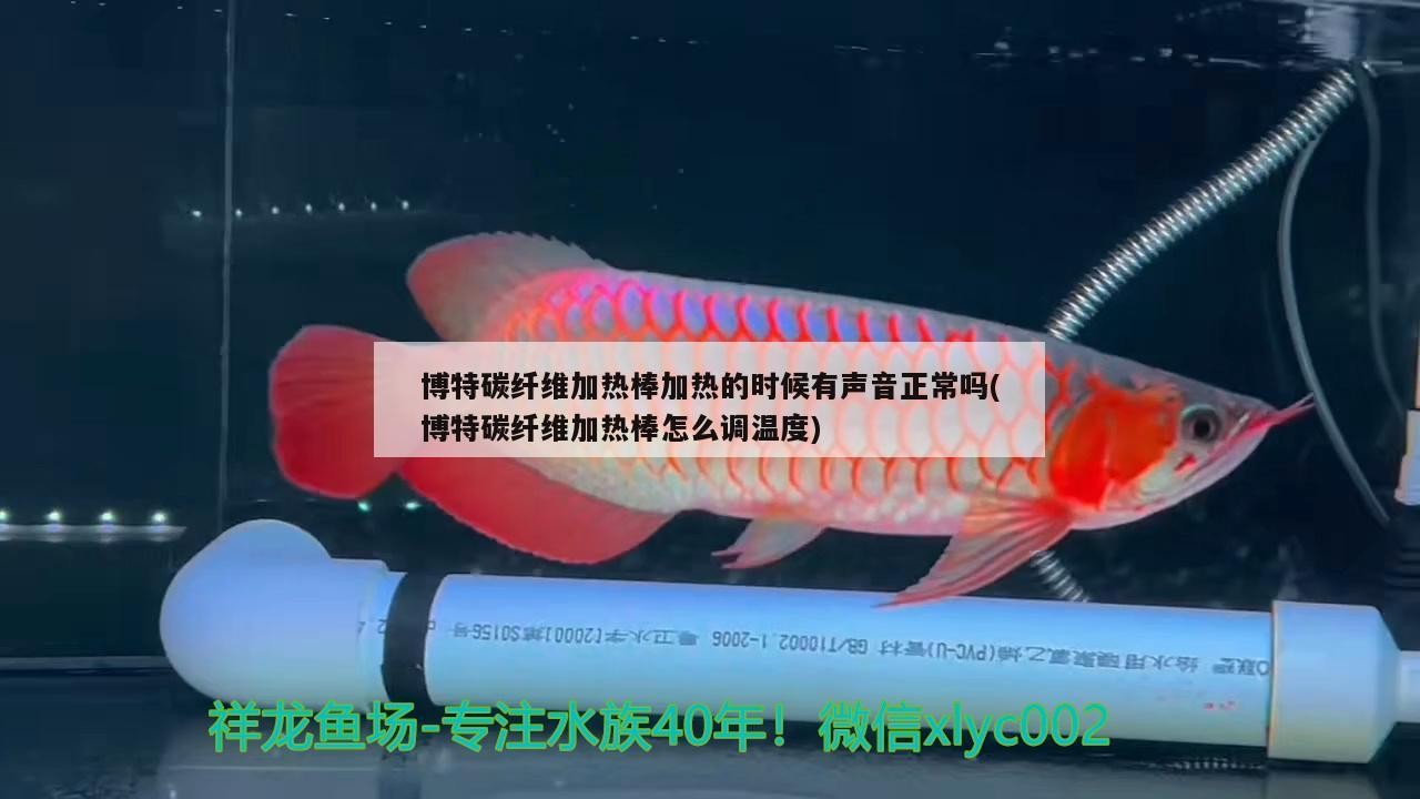 博特碳纖維加熱棒加熱的時候有聲音正常嗎(博特碳纖維加熱棒怎么調溫度)