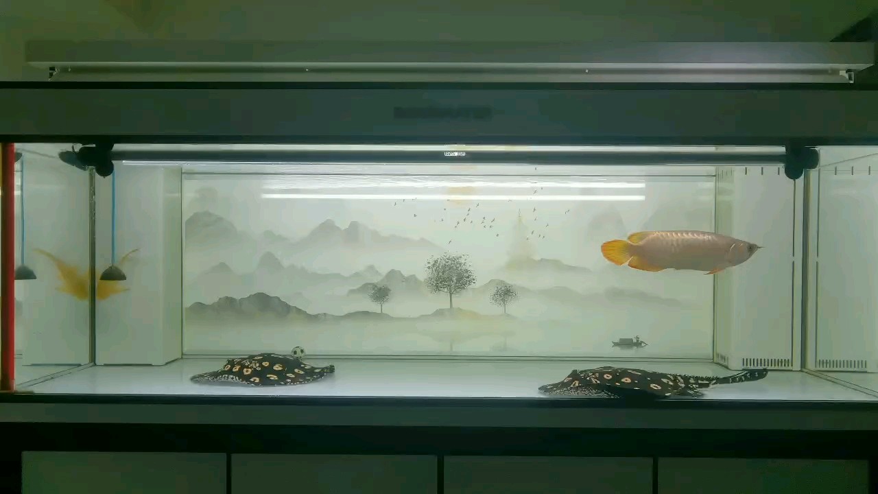 開始造綠水！