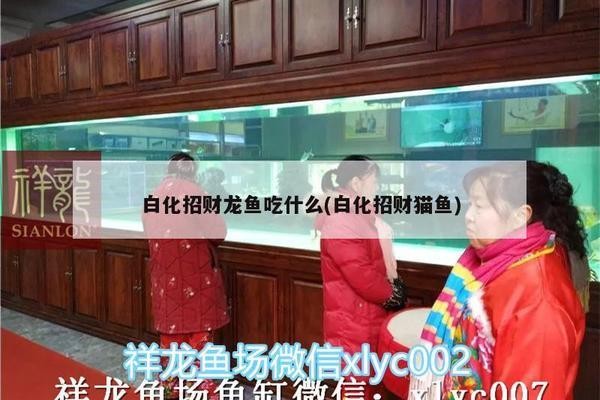 雷龍魚的功效與作用，營養豐富的水中珍品