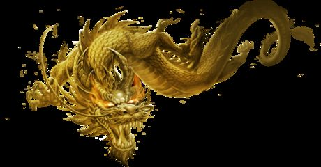 jinlong牌魚缸停止生產(chǎn)了嗎：jinlong牌魚缸產(chǎn)品現(xiàn)狀 jinlong牌魚缸停止生產(chǎn)了嗎：jinlong牌魚缸產(chǎn)品現(xiàn)狀 魚缸百科 第1張