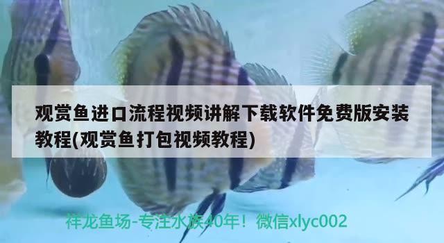 天山區(qū)幸福路魚樂圈銷售店