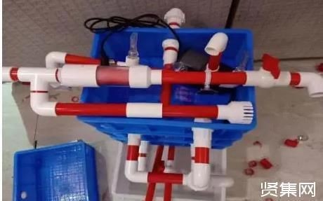 DIY手工給魚缸制作一個免通電的水循環系統：diy手工給魚缸制作一個免通電的水循環系統 DIY手工給魚缸制作一個免通電的水循環系統：diy手工給魚缸制作一個免通電的水循環系統 魚缸百科 第3張
