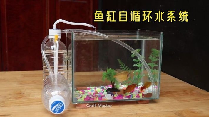 DIY手工給魚缸制作一個免通電的水循環系統：diy手工給魚缸制作一個免通電的水循環系統 DIY手工給魚缸制作一個免通電的水循環系統：diy手工給魚缸制作一個免通電的水循環系統 魚缸百科 第4張