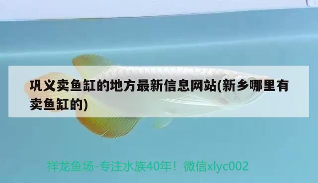 鞏義賣魚缸的地方最新信息網站(新鄉(xiāng)哪里有賣魚缸的)