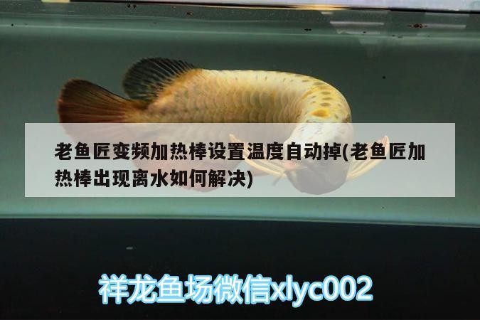 魚缸用增氧泵價(jià)格是多少:魚缸增氧機(jī)-xtrac增氧機(jī)-xtrac增氧機(jī) 老魚匠變頻加熱棒設(shè)置溫度自動(dòng)掉(老魚匠加熱棒出現(xiàn)離水如何解決) 老魚匠 老魚匠變頻加熱棒設(shè)置溫度自動(dòng)掉(老魚匠加熱棒出現(xiàn)離水如何解決) 老魚匠變頻加熱棒設(shè)置溫度自動(dòng)掉(老魚匠加熱棒出現(xiàn)離水如何解決) 老魚匠