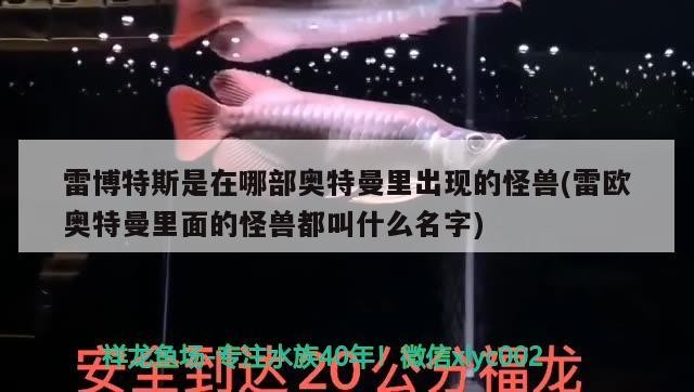魚缸用增氧泵價格是多少:魚缸增氧機-xtrac增氧機-xtrac增氧機 雷博特斯是在哪部奧特曼里出現(xiàn)的怪獸(雷歐奧特曼里面的怪獸都叫什么名字) 博特水族 雷博特斯是在哪部奧特曼里出現(xiàn)的怪獸(雷歐奧特曼里面的怪獸都叫什么名字) 雷博特斯是在哪部奧特曼里出現(xiàn)的怪獸(雷歐奧特曼里面的怪獸都叫什么名字) 博特水族