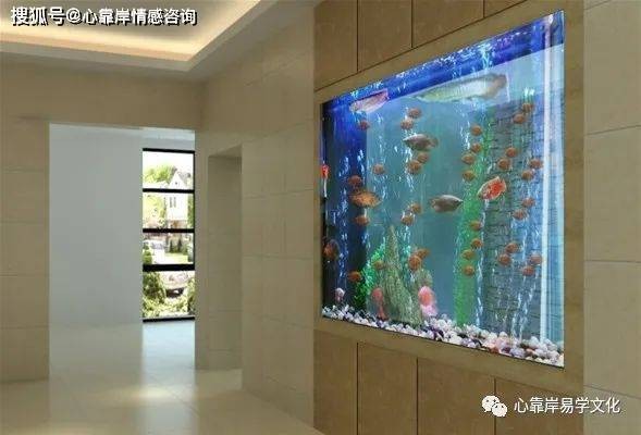 老魚匠加熱棒質保（老魚匠加熱棒質保時間）
