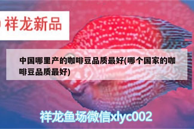 中國哪里產(chǎn)的咖啡豆品質(zhì)最好(哪個國家的咖啡豆品質(zhì)最好)