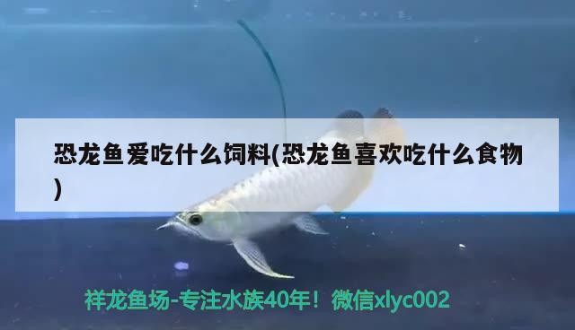 廣州市海珠區(qū)昌崗生記水族花鳥店 廣州市海珠區(qū)昌崗生記水族花鳥店 全國水族館企業(yè)名錄 第2張