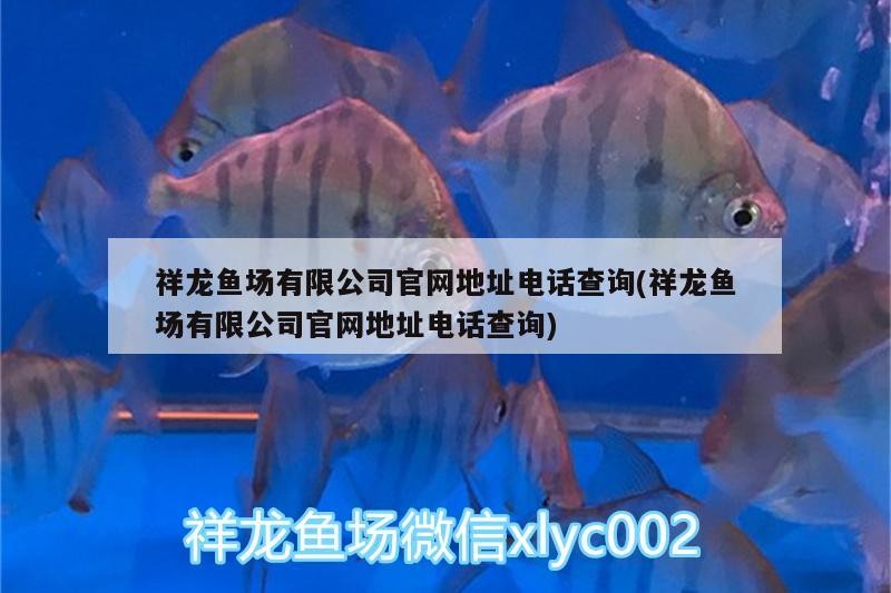 祥龍魚場(chǎng)有限公司官網(wǎng)地址電話查詢(祥龍魚場(chǎng)有限公司官網(wǎng)地址電話查詢)