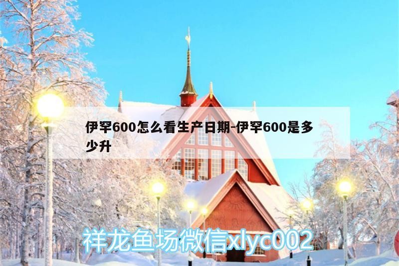 伊罕600怎么看生產(chǎn)日期:伊罕600是多少升 伊罕600怎么看生產(chǎn)日期:伊罕600是多少升 伊罕水族