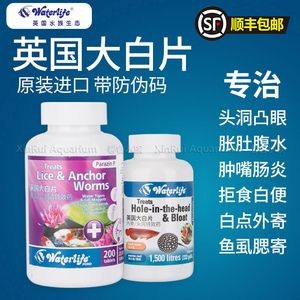 內(nèi)寄大白片對(duì)魟魚有傷害嗎 內(nèi)寄大白片對(duì)魟魚有傷害嗎 魟魚百科 第2張