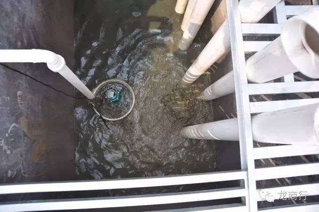 廣州魚缸批發市場地址在哪里（廣州魚缸批發市場地址在哪里啊） 廣州魚缸批發市場地址在哪里（廣州魚缸批發市場地址在哪里啊） 魚缸百科