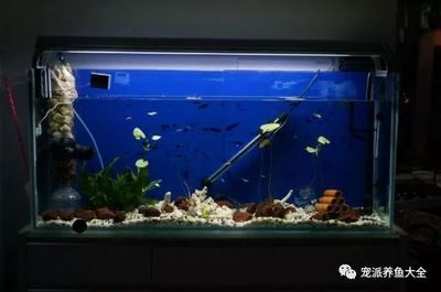 30瓦的魚缸水泵一天多錢：30瓦的魚缸水泵一天的耗電量是多少？