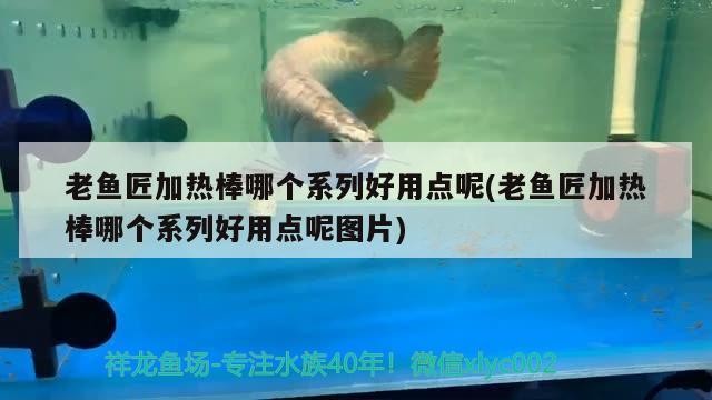 龍魚干蝦有營養嗎 老魚匠加熱棒哪個系列好用點呢(老魚匠加熱棒哪個系列好用點呢圖片) 老魚匠 老魚匠加熱棒哪個系列好用點呢(老魚匠加熱棒哪個系列好用點呢圖片) 老魚匠加熱棒哪個系列好用點呢(老魚匠加熱棒哪個系列好用點呢圖片) 老魚匠
