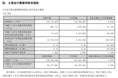 金龍魚現金流管理策略：金龍魚現金流管理優化案例