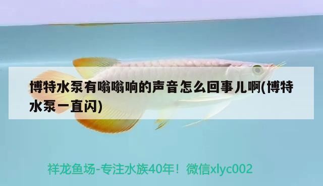 博特水泵有嗡嗡響的聲音怎么回事兒啊(博特水泵一直閃)