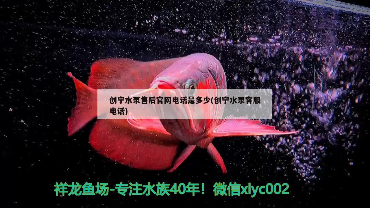 創寧水泵售后官網電話是多少(創寧水泵客服電話)