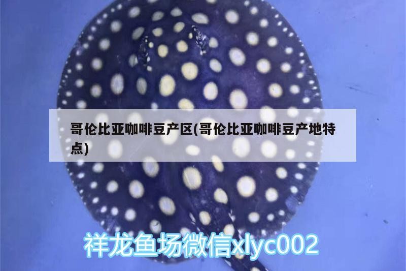 哥倫比亞咖啡豆產區(哥倫比亞咖啡豆產地特點)