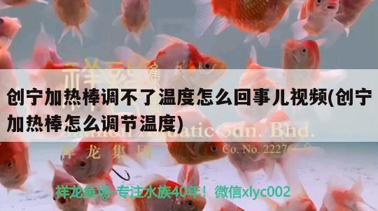 創(chuàng)寧加熱棒調(diào)不了溫度怎么回事兒視頻(創(chuàng)寧加熱棒怎么調(diào)節(jié)溫度)