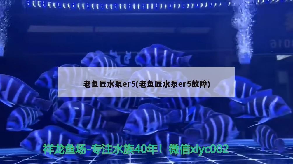 老魚匠水泵er5(老魚匠水泵er5故障)